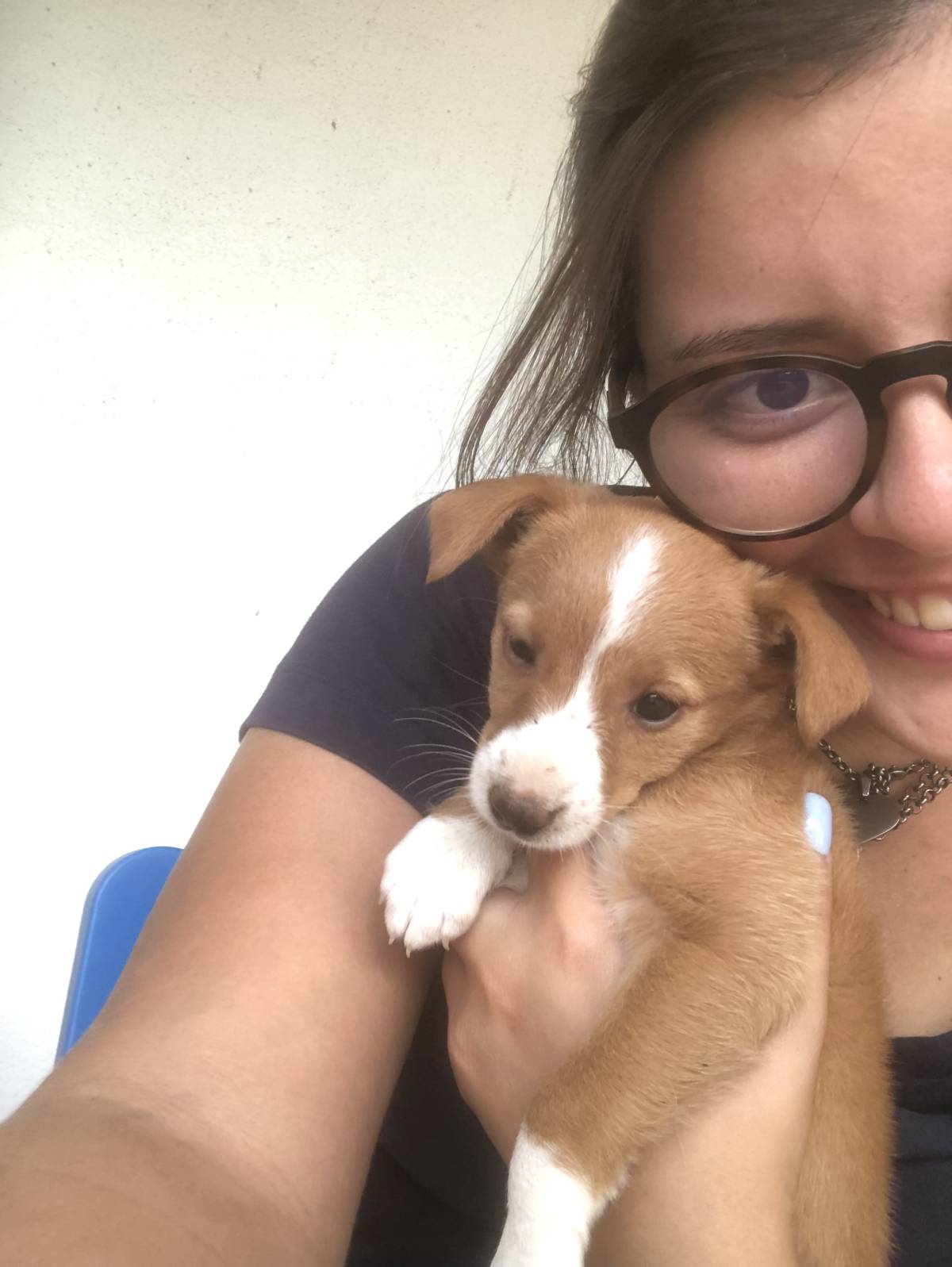 Andreia Rodrigues - Azambuja - Pet Sitting and Walking