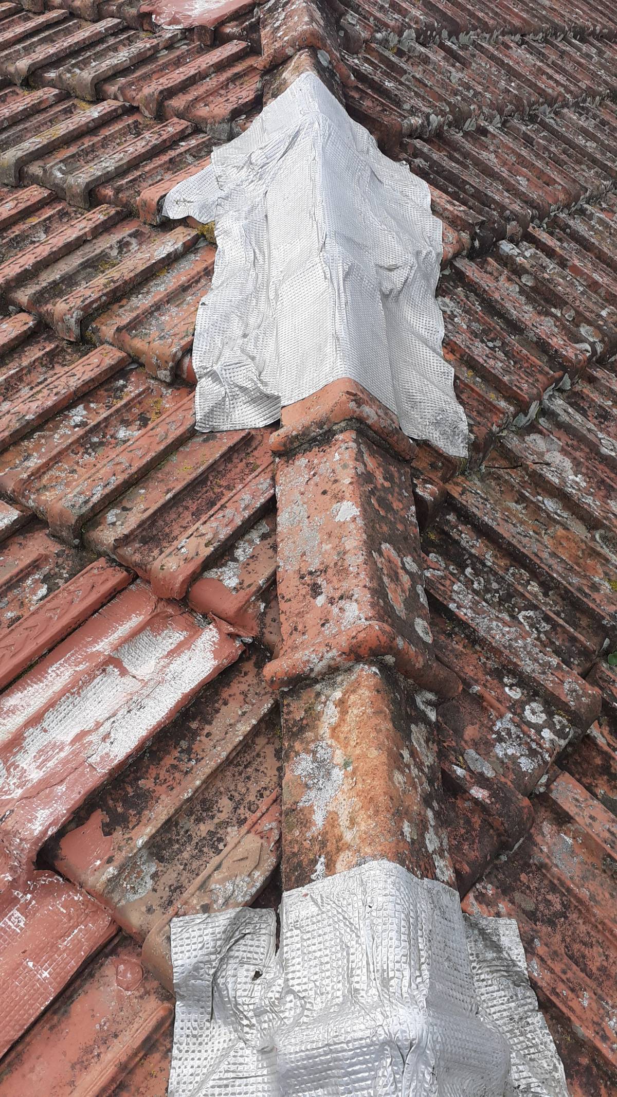 Carlos Carvalho - Lisboa - Roof Cleaning