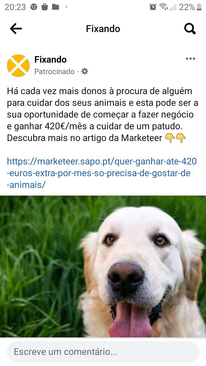 Ana - Mafra - Cuidados para Animais de Estimação