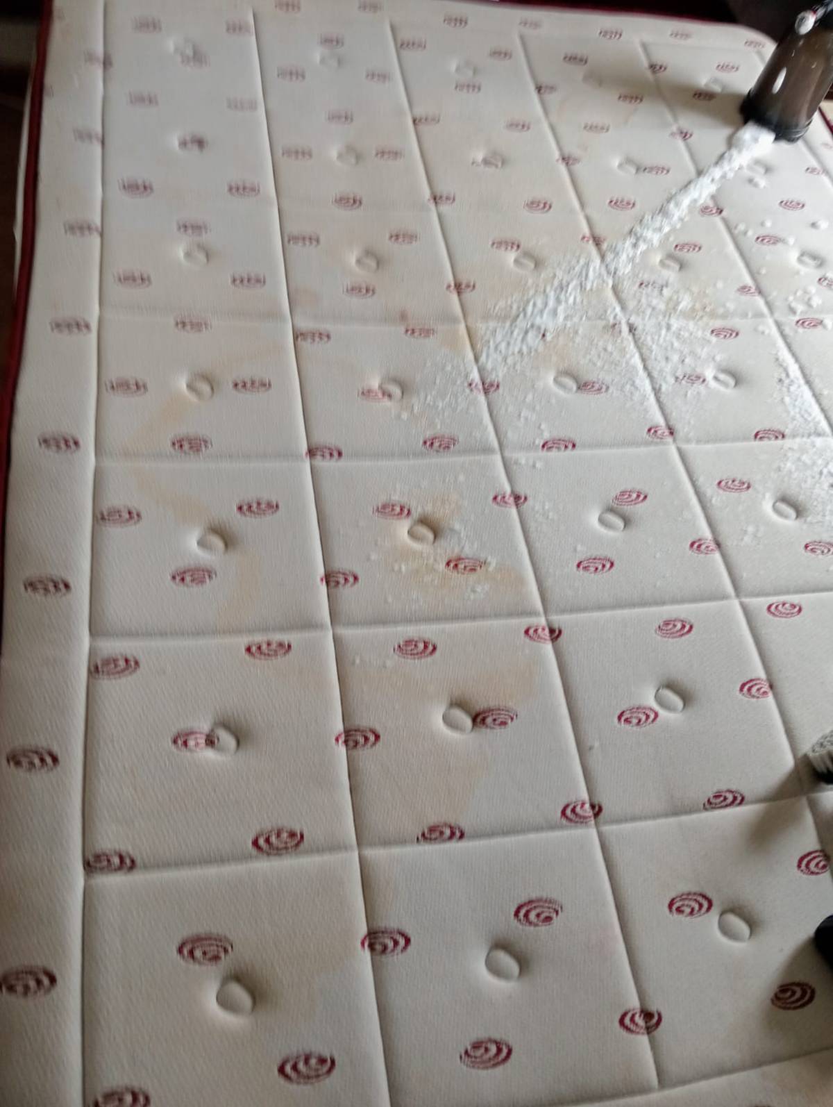 Tiago Silva - Almada - Nettoyage de tapis