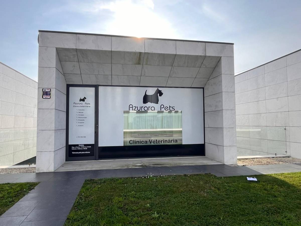 Azurara Pets Cliniva Veterinaria - Vila do Conde - Médico Veterinário