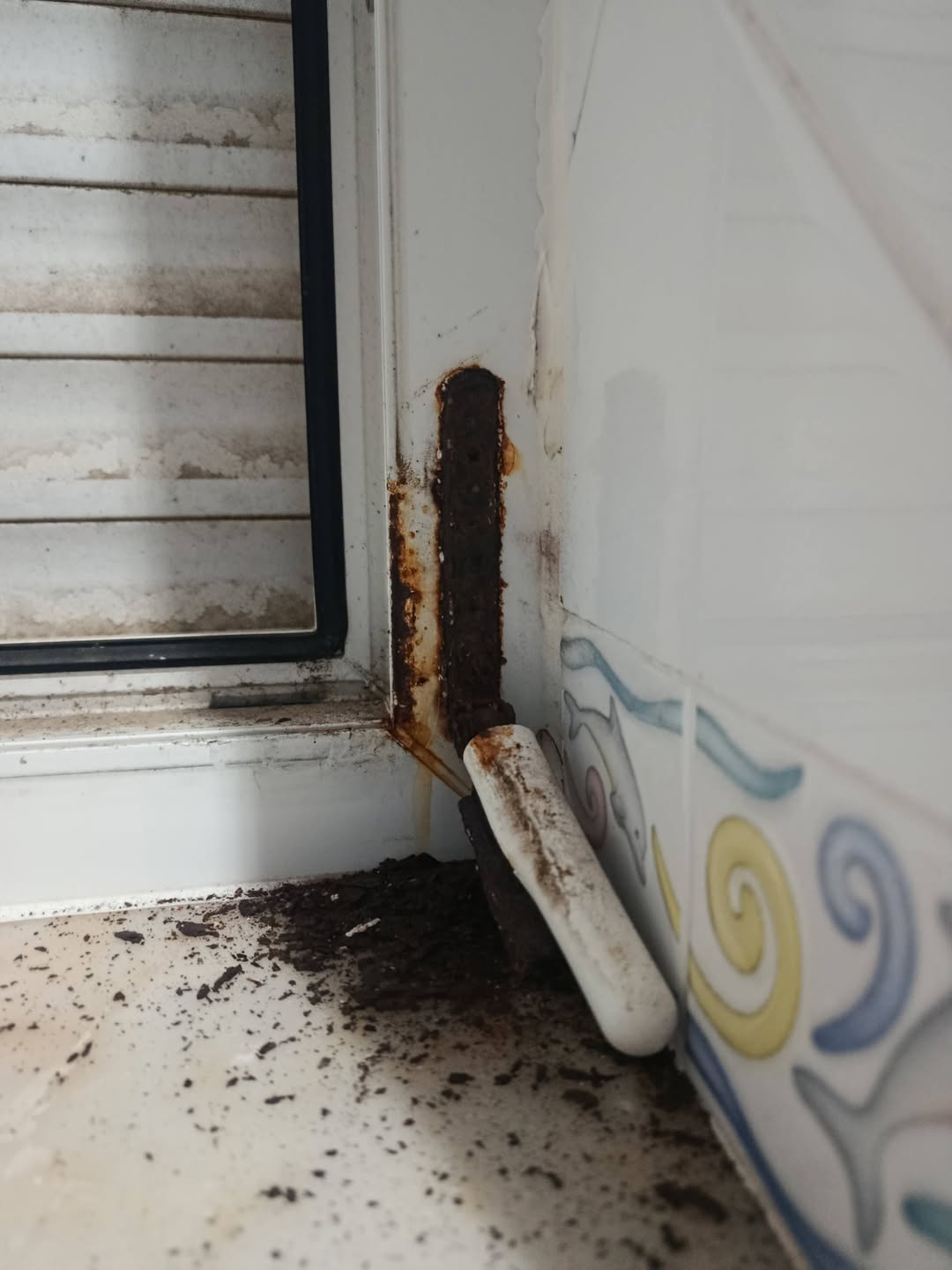 R&S Multiserviços - Peniche - Fenstergitter / Fensterschutz