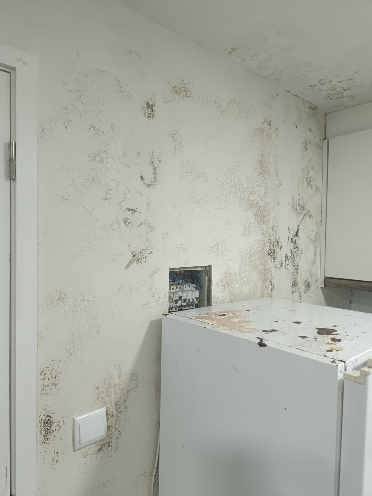 Clean Service - Barcelos - Büroreinigung (regelmäßig)