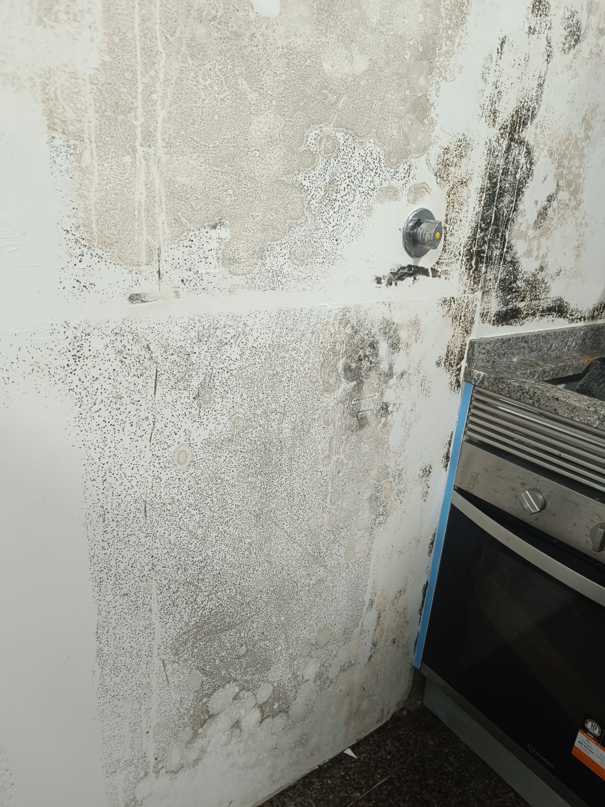 Clean Service - Barcelos - Hausputz