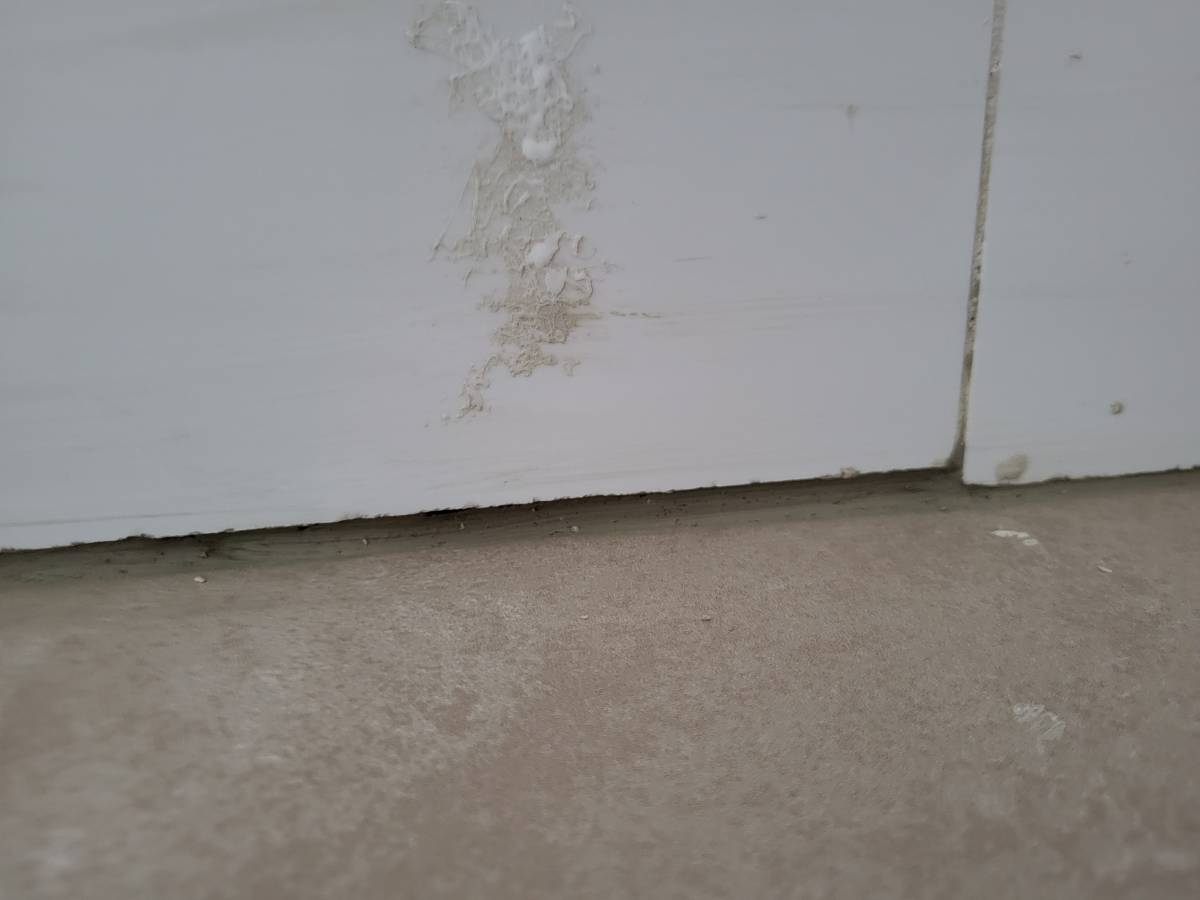 Especialista de Obras - Casa