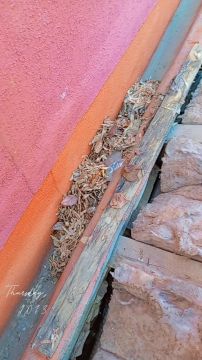 WALL PROJECT - Barreiro - Reparação de Papel de Parede