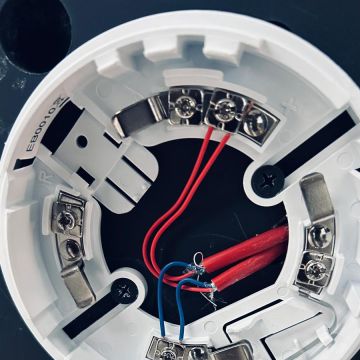 Grupo AF - Aptidão Florescente - Sintra - Colocação de Pedra