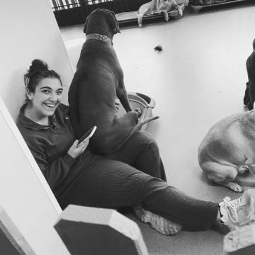 Catarina Vedor - Loures - Dog Sitting
