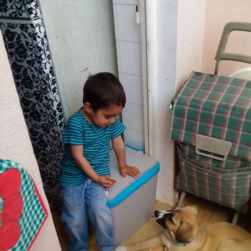 Ana Rodrigues - Lisboa - Babysitter