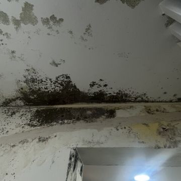 Clean Service - Barcelos - Teppich-, Vorlegerreinigung