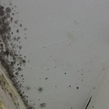 Clean Service - Barcelos - Kleiderschrank ordnen / organisieren