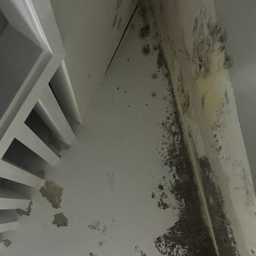 Clean Service - Barcelos - Hausreinigung (regelmäßig)