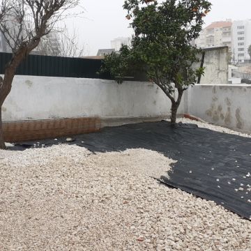 Carlos Carvalho - Lisboa - Snow Plowing (Residential)