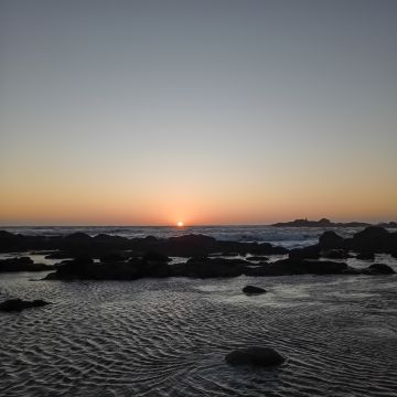 Ângelo Moreira - Matosinhos - Photographie d’événements