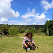 Vanda Mendonça - Sintra - Dog Walking