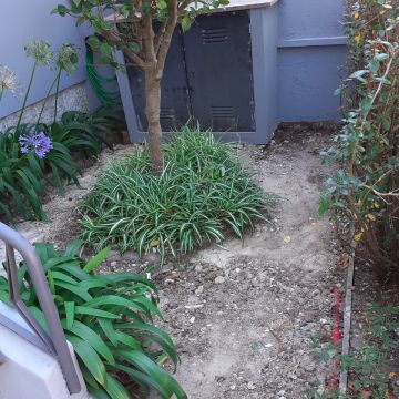 Carlos Carvalho - Lisboa - Multi Service Lawn Care