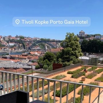 Torelli & Matos - Porto - Nettoyage de propriété
