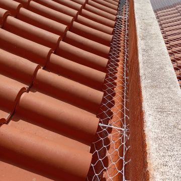 Carlos Carvalho - Lisboa - Interior Wall Addition