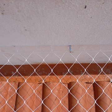 Carlos Carvalho - Lisboa - Plastering