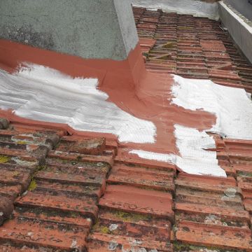Carlos Carvalho - Lisboa - Roof Repair or Maintenance