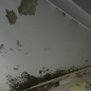 Clean Service - Barcelos - Fensterreinigung