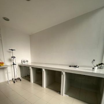 Azurara Pets Cliniva Veterinaria - Vila do Conde - Cuidados para Animais de Estimação