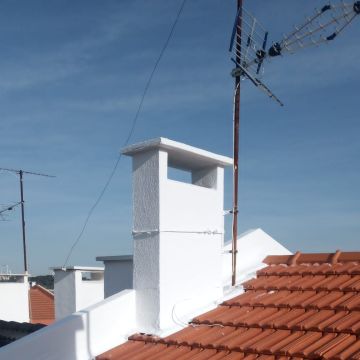Carlos Carvalho - Lisboa - Gardening