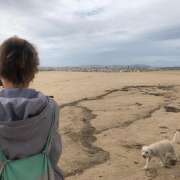 Cristina Cortez - Lisboa - Dog Walking