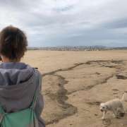 Cristina Cortez - Lisboa - Hundeausführung