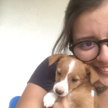 Andreia Rodrigues - Azambuja - Pet Sitting and Walking