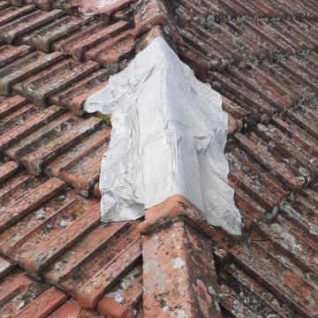 Carlos Carvalho - Lisboa - Roof Cleaning