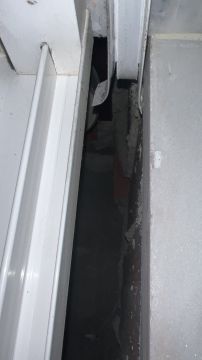 Window Blinds