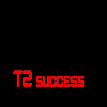 T2SUCCESS - Lisboa - Chauffeur