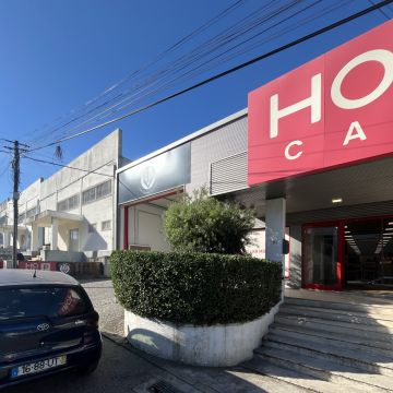 Paulo Sergio Moniz Marques - Penafiel - Landschaftsbau