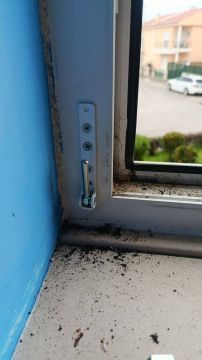 R&S Multiserviços - Peniche - Fensterläden reparieren