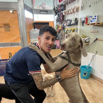 Brendon cuidador e treinador - Loulé - Baths and Grooming for Animals
