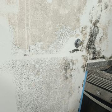 Clean Service - Barcelos - Hausputz