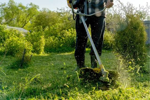 Sou trabalhador profissional por conta própria, fasso remoção de lixo, fasso jardinagem, limpeza de terrenos, sou pintor de paredes - Aveiro - Ilustrador