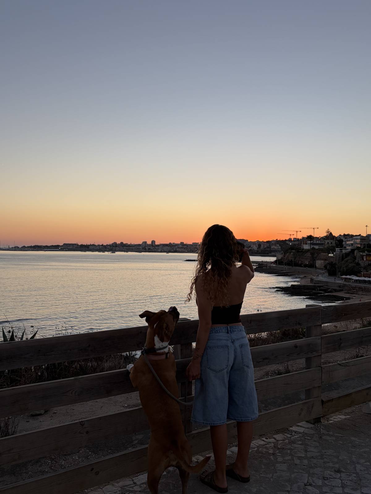 Mia - Cascais - Cuidar tus perros
