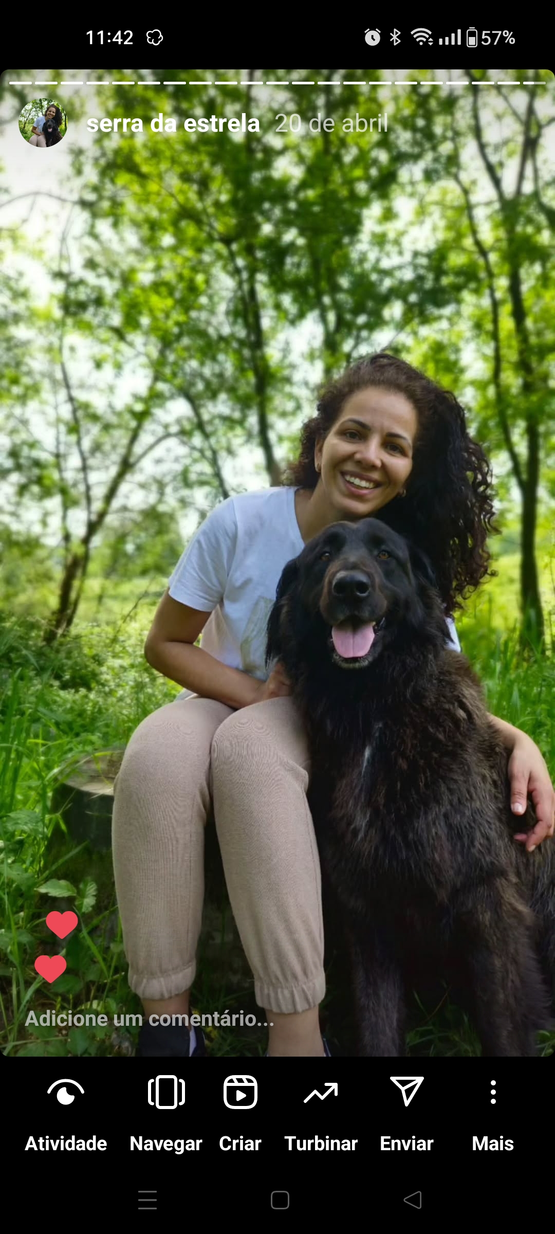 Priscila Welte - Braga - Dog Hotel