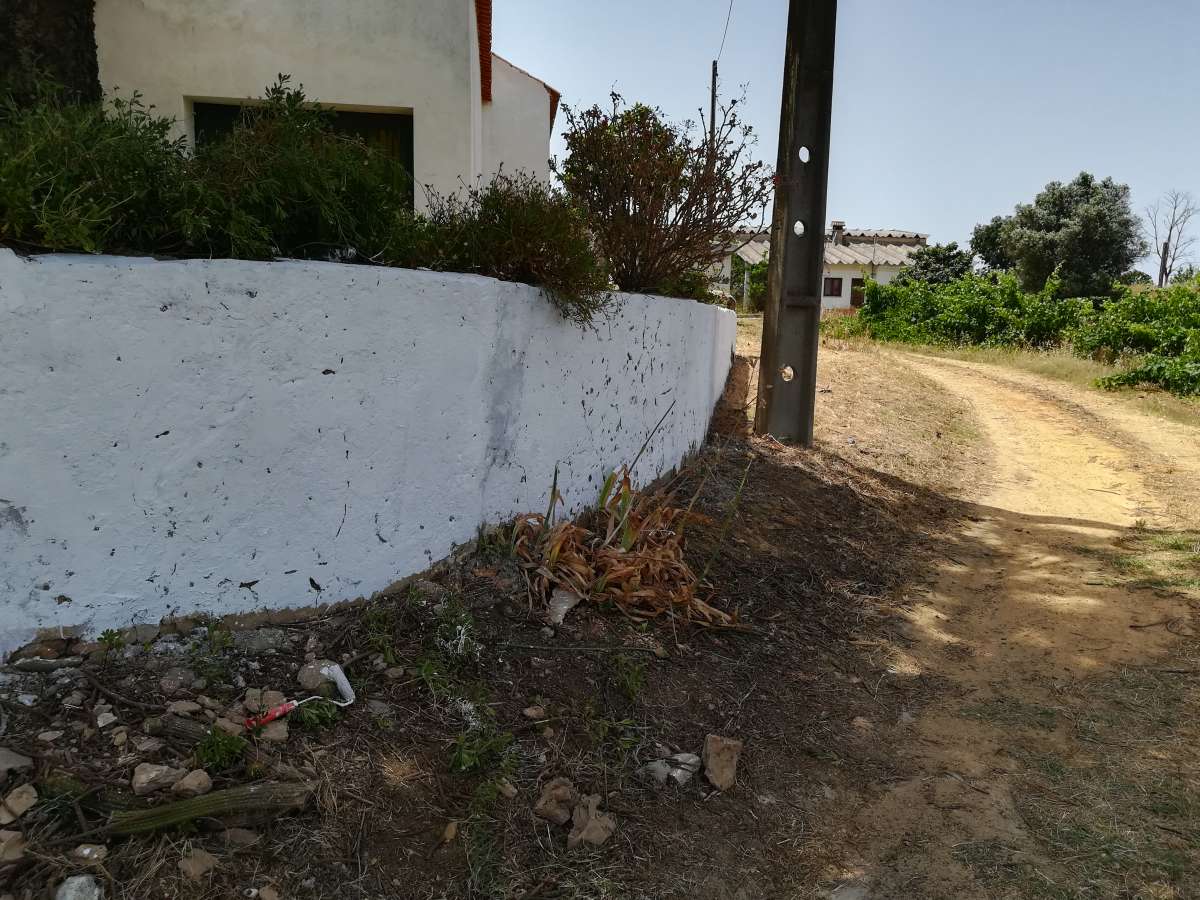 António Bento - Lagos - Limpeza de Propriedade