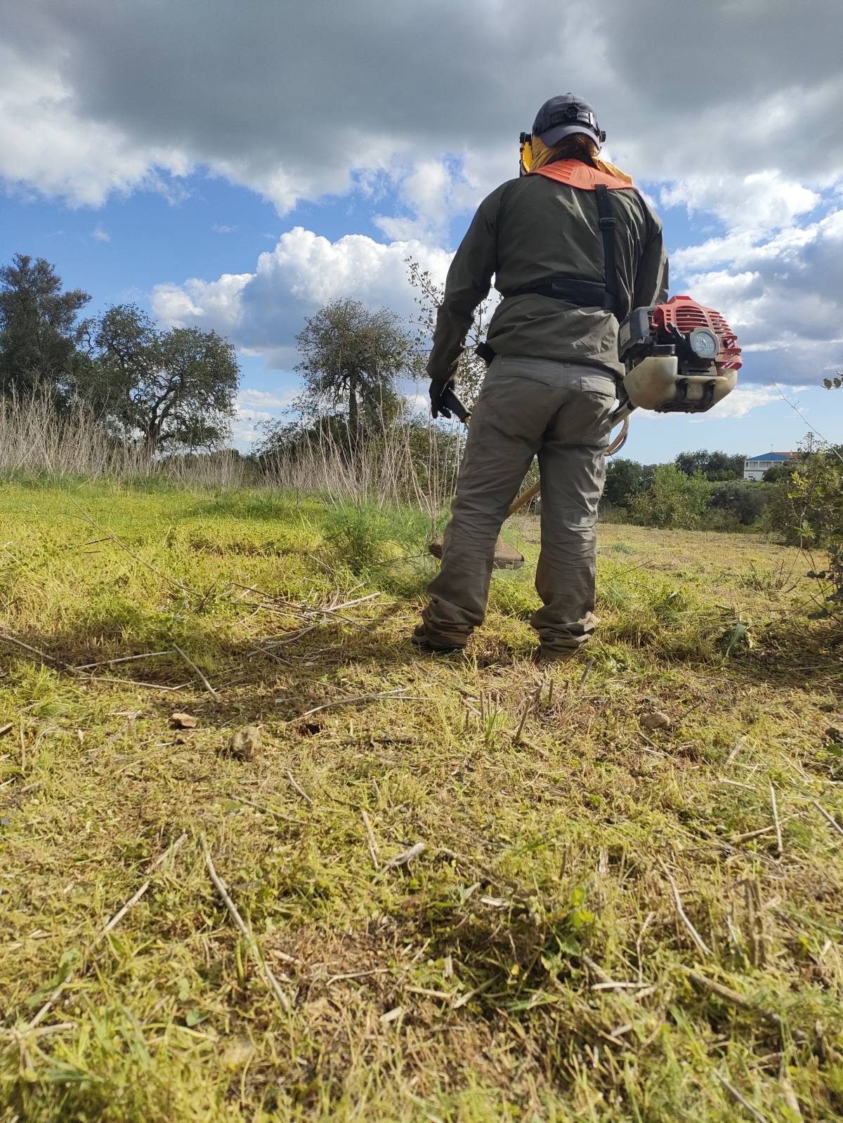 A.S. prestadores de serviços agrícolas - Tavira - Limpieza de primavera