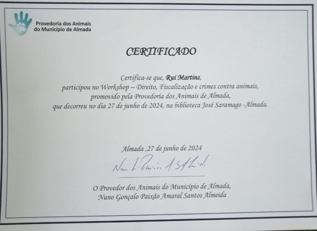 Martinsk9 - Moita - Treino de Cães - Aulas