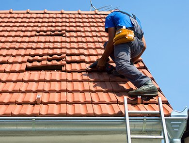 Alfredo - Vila de Rei - Servicios de construcción de albañilería