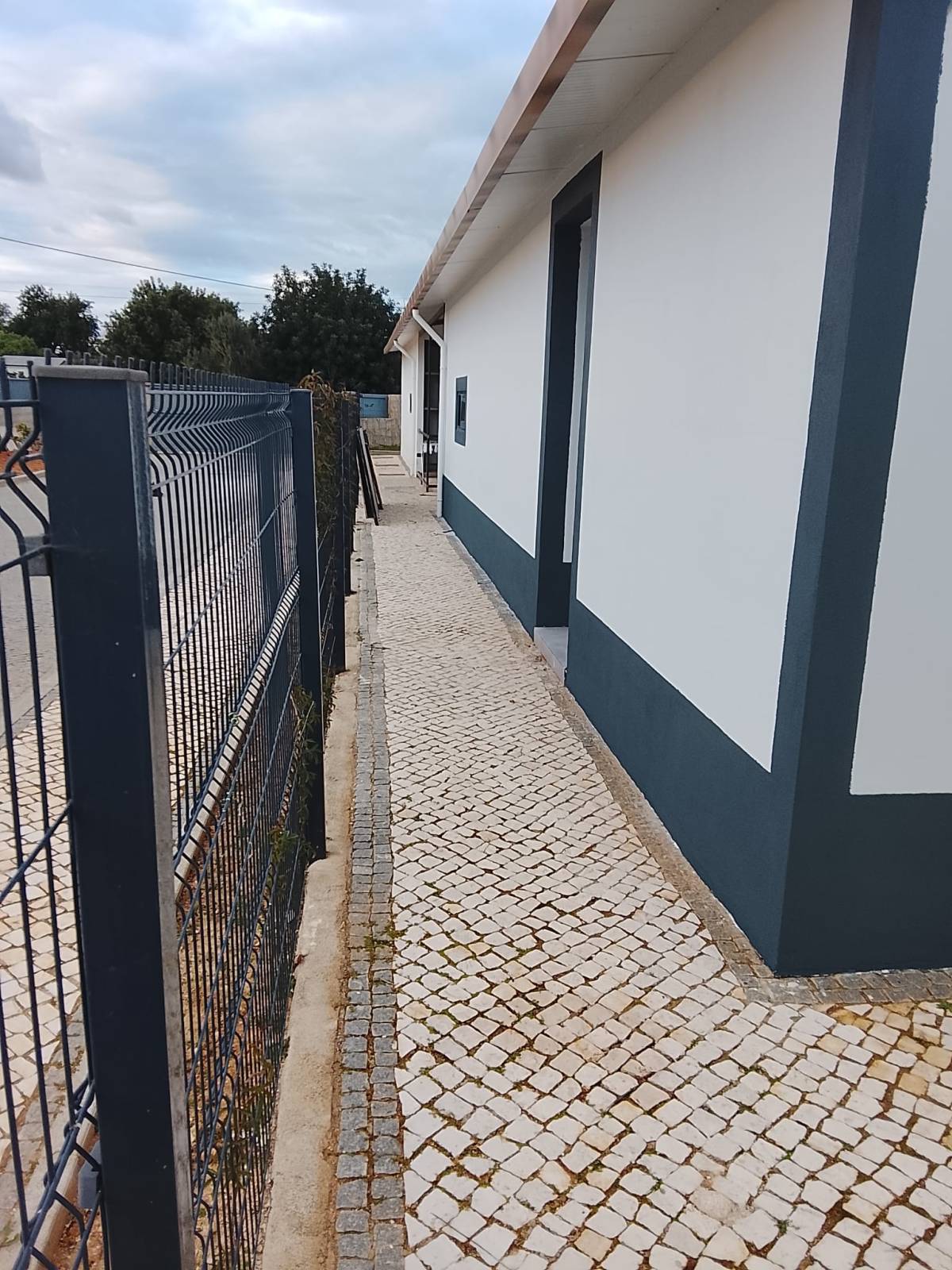Escarp - Faro - Promenade de chiens