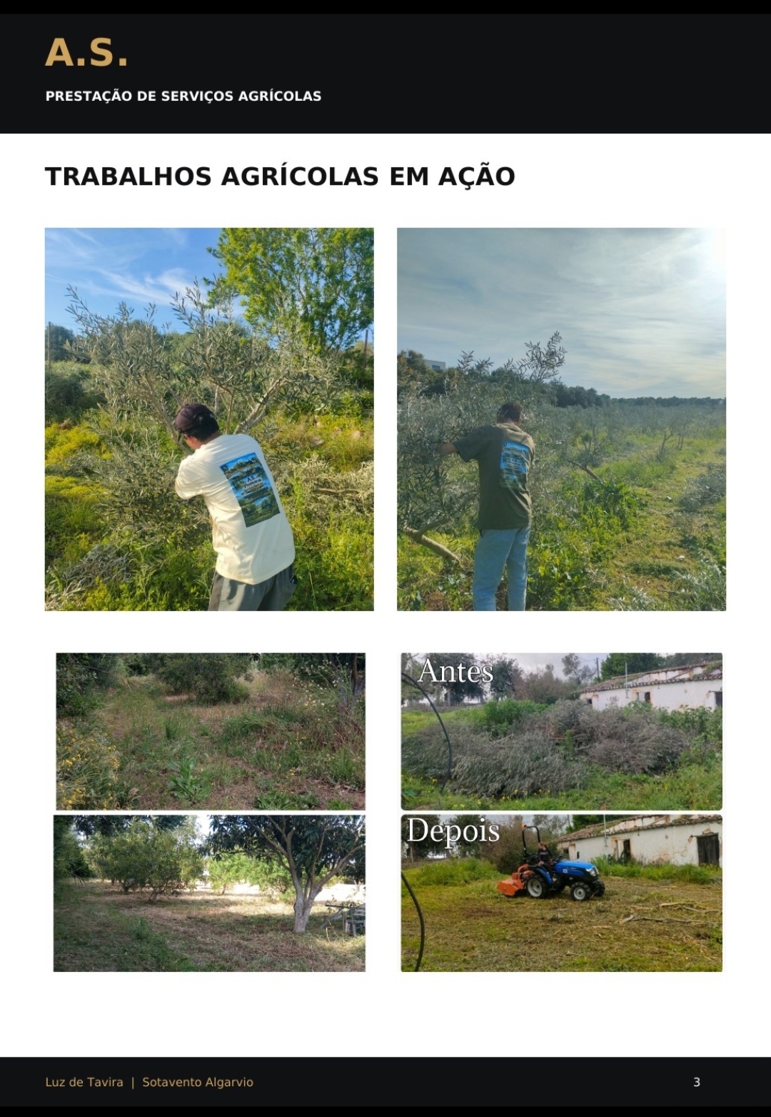 A.S. prestadores de serviços agrícolas - Tavira - Instalação de Relva Artificial