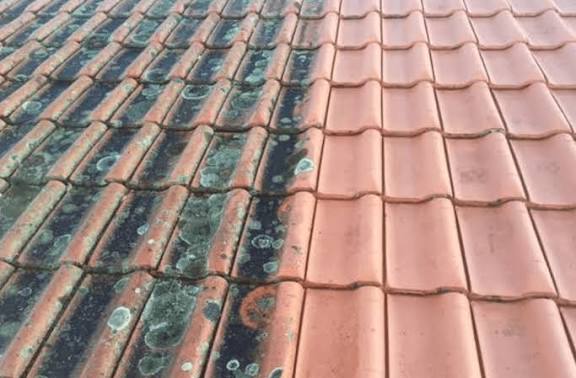 Algarve roofing and painting - Loulé - Manutenção e Reparação de Cobertura de Pátio