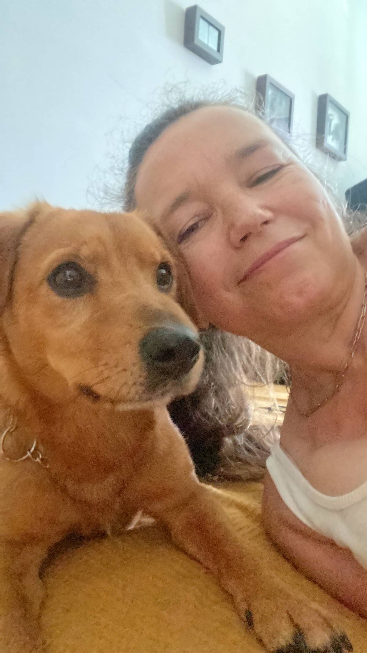 Susy - Sintra - Baths and Grooming for Animals