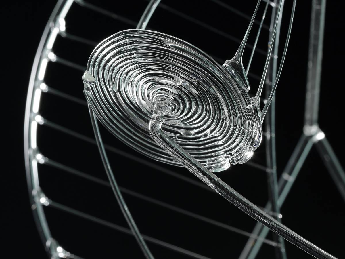 Fotografiamais () - Leiria - Fotografia de Casamentos