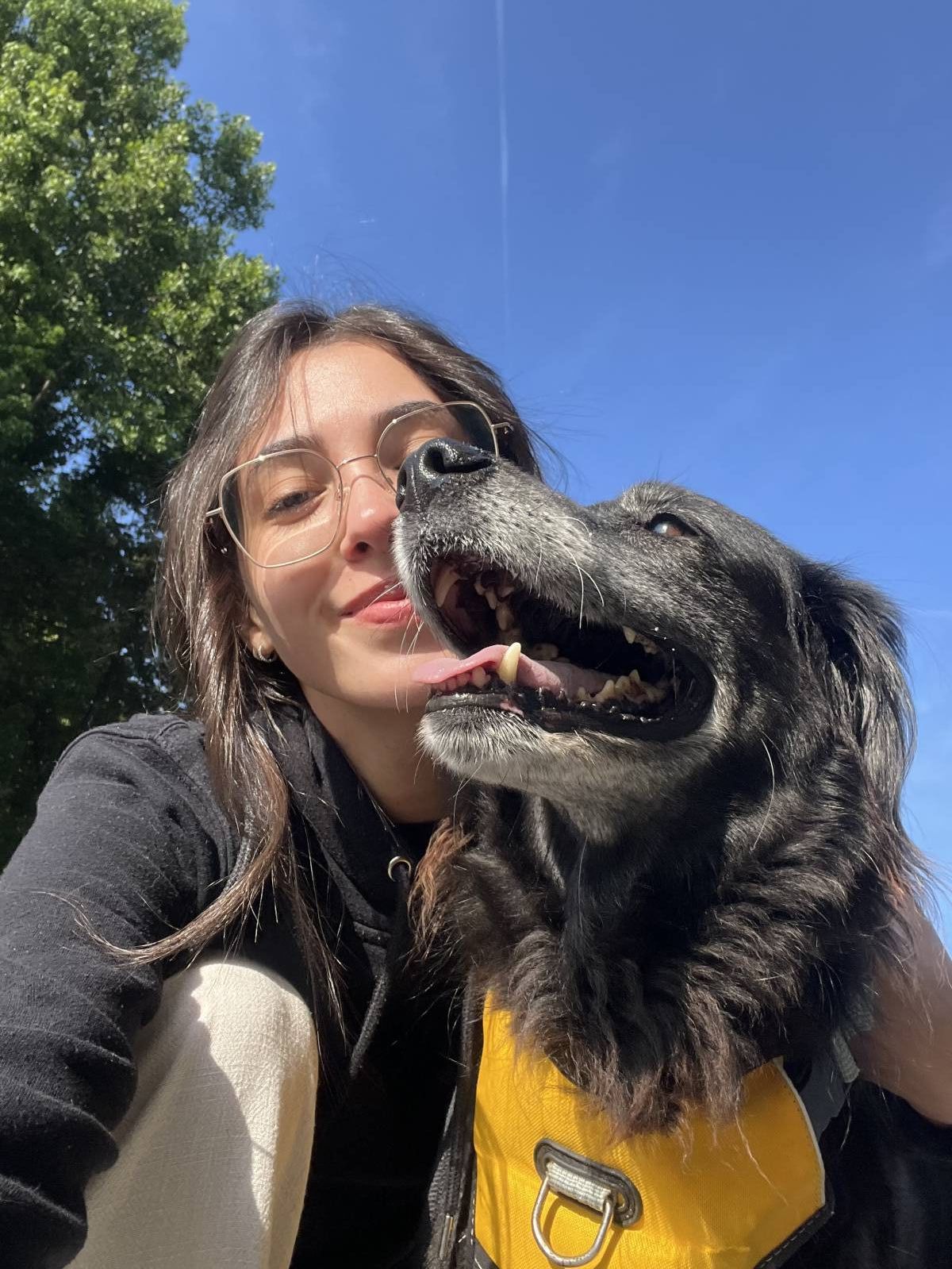 Joana - Vila Verde - Dog Walking